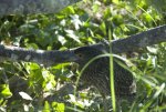 20080426_151209-slb