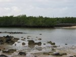 20080502_055646-slb