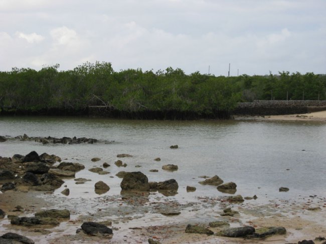 20080502_055646-slb