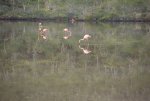 20080429_051729-slb