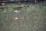 20080429_053742-slb
