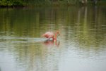 20080429_061336-slb