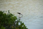 20080429_061359-slb
