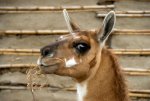 20080424_073641-slb
