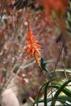 20080424_075424-slb