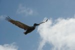 20080503_082141-slb