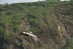 20080503_082502-slb