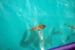 20080502_133703-sjb