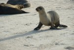 20080502_154511-slb