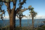 20080502_155752-slb