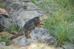 20080504_050719-slb
