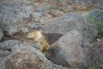 20080504_051043-slb