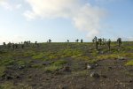 20080504_052655-slb