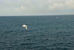 20080504_053336-slb