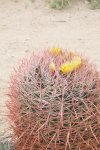 2017_04_07_12-47-03-slb
