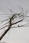 2017_04_07_12-53-04-slb