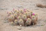 2017_04_07_13-36-38-slb