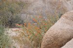 2017_04_07_14-14-05-slb