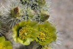 2017_04_08_10-18-56-slb