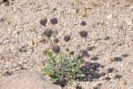 2017_04_08_10-23-05-slb