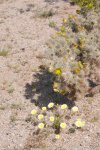 2017_04_08_10-23-55-slb