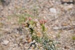 2017_04_08_10-24-23-slb