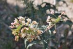 2017_04_08_10-25-01-slb