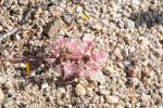 2017_04_08_10-42-00-slb