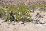 2017_04_08_11-01-44-slb