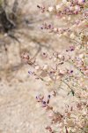 2017_04_08_11-10-23-slb