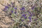2017_04_08_11-15-03-slb