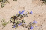 2017_04_08_11-18-04-slb