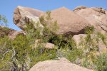 2017_04_08_11-46-36-slb