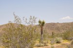 2017_04_08_13-02-52-slb