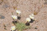 2017_04_08_13-09-46-slb